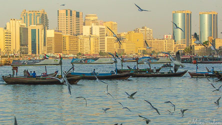 Traditional wooden boats and seagulls on Dubai Creek at sunset with modern city skyline glowing in warm light.